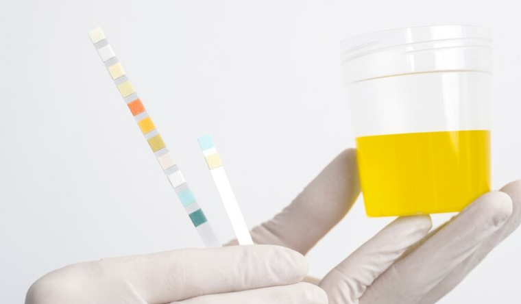 What Is Synthetic Urine Used For?
